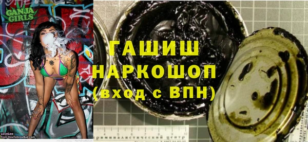 индика Козельск