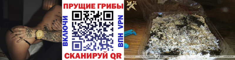 omg рабочий сайт  Верхняя Тура  Псилоцибиновые грибы GOLDEN TEACHER 